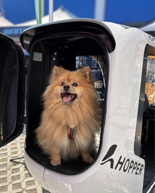 Nachrüst-Set von Cargo HOPPER auf Dog HOPPER