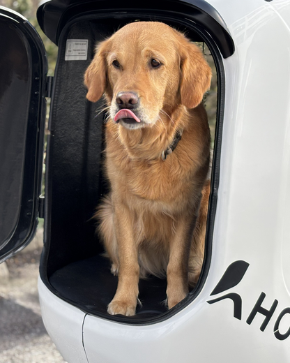 Nachrüst-Set von Cargo HOPPER auf Dog HOPPER